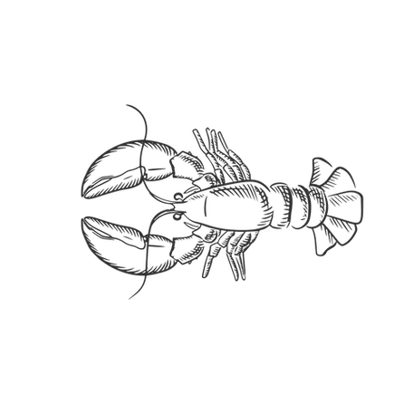 Lobster